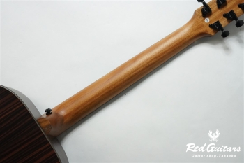 EA-X1 PRO/EQ - Sunburst